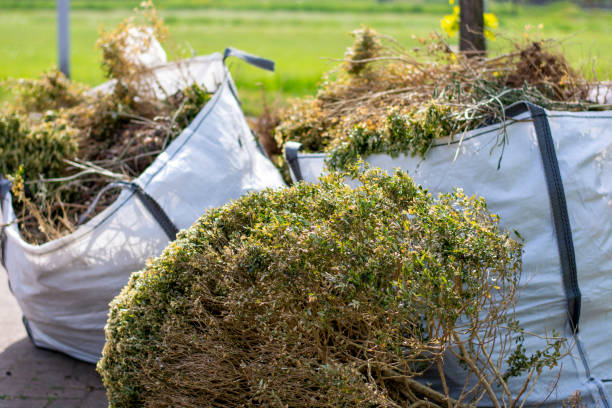 Best Trash Removal Near Me  in Felton, CA